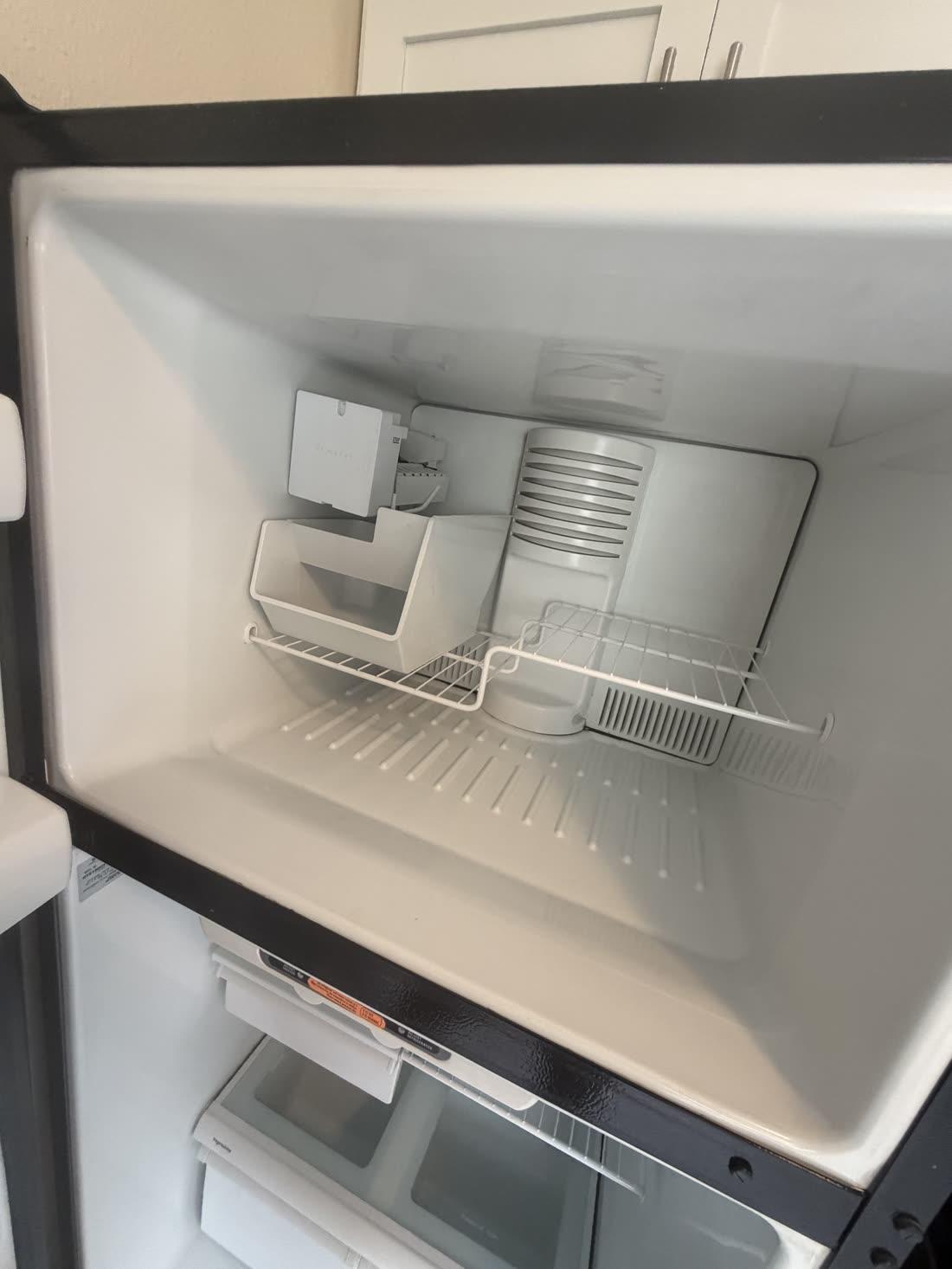 Freezer — from mildew to spotless — after cleaning