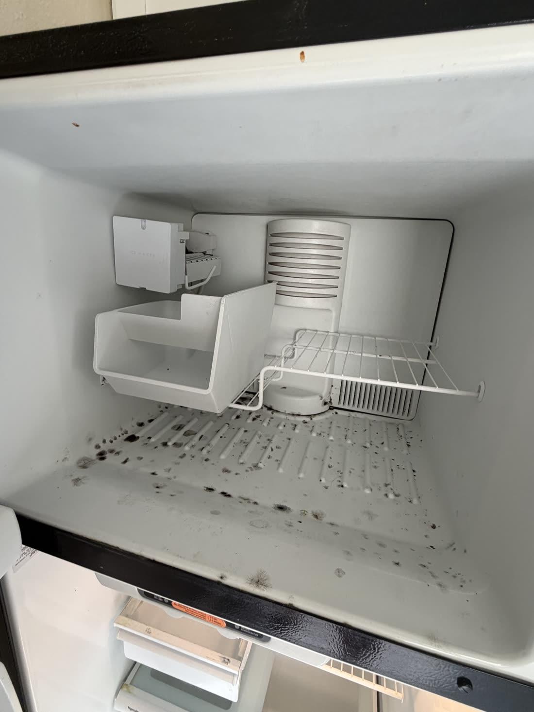 Freezer — from mildew to spotless — before cleaning