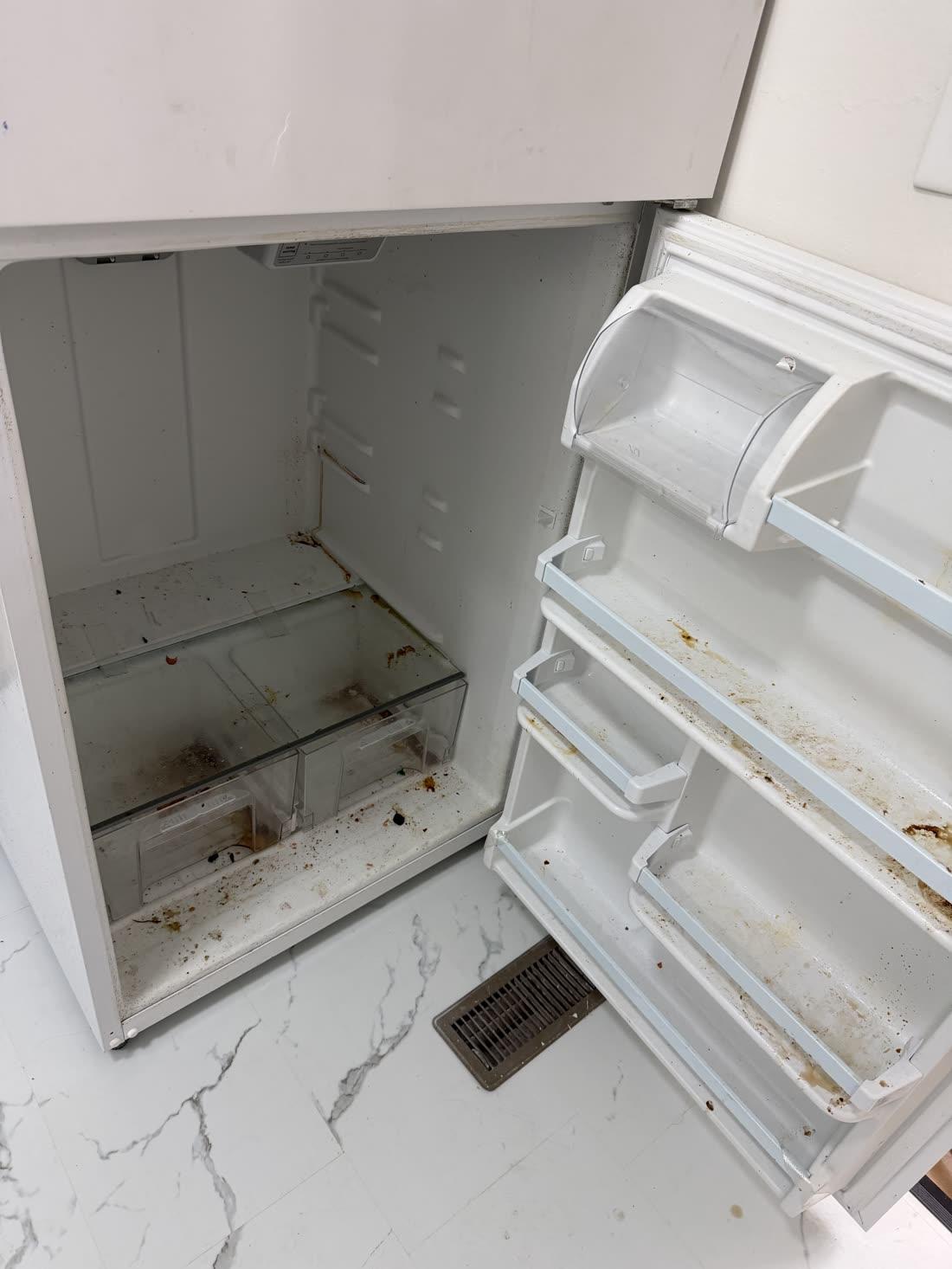 Refrigerator with heavy build-up — before cleaning